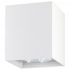 Накладной светильник ambrella light tn tn213139
